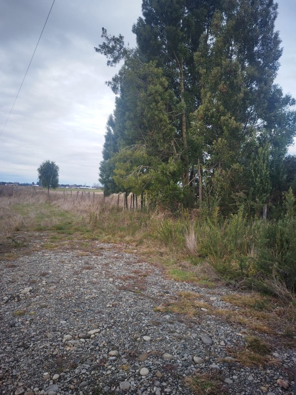 Parcela en venta en Freire — foto 1