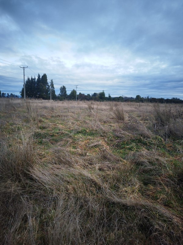 Parcela en venta en Freire — foto 2