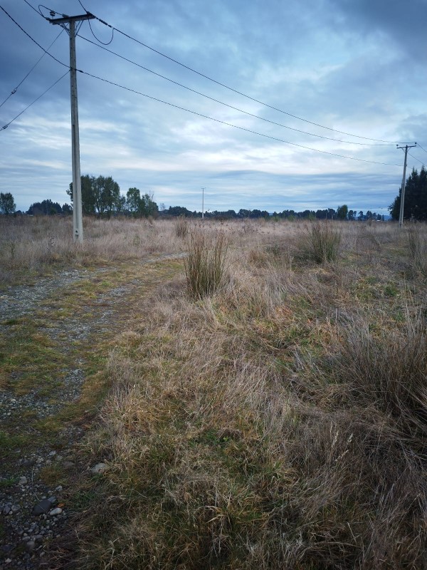 Parcela en venta en Freire — foto 3