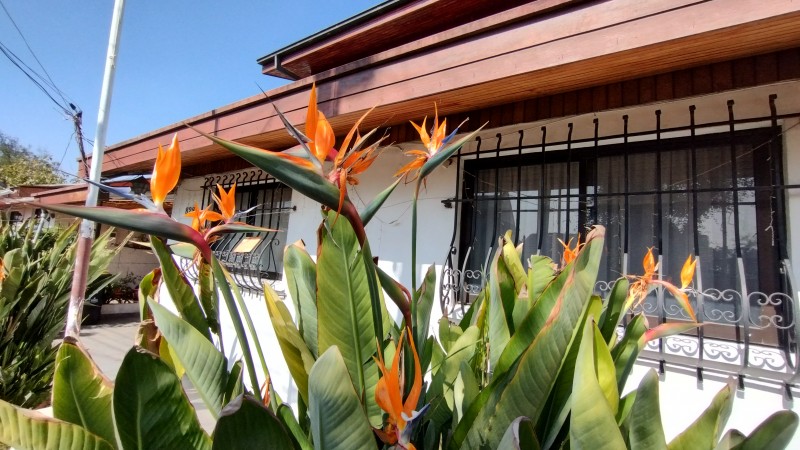 Casa en venta en Maipú — foto 2