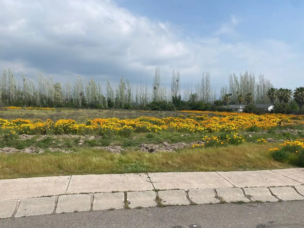 Parcela en venta en Pirque — foto 4