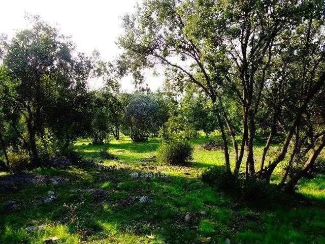 Parcela en venta en Pirque — foto 7
