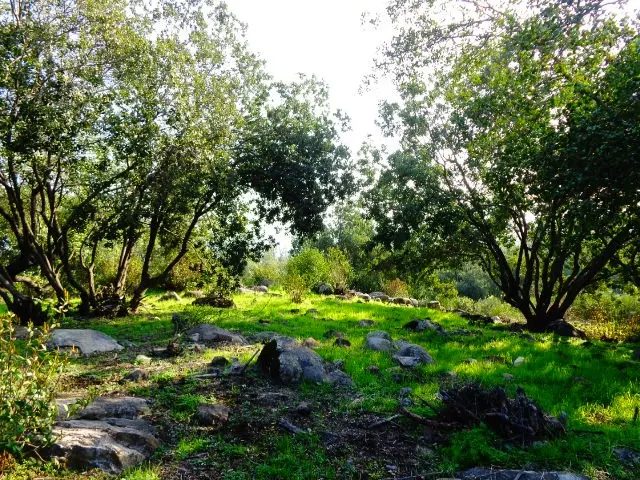 Parcela en venta en Pirque — foto 2
