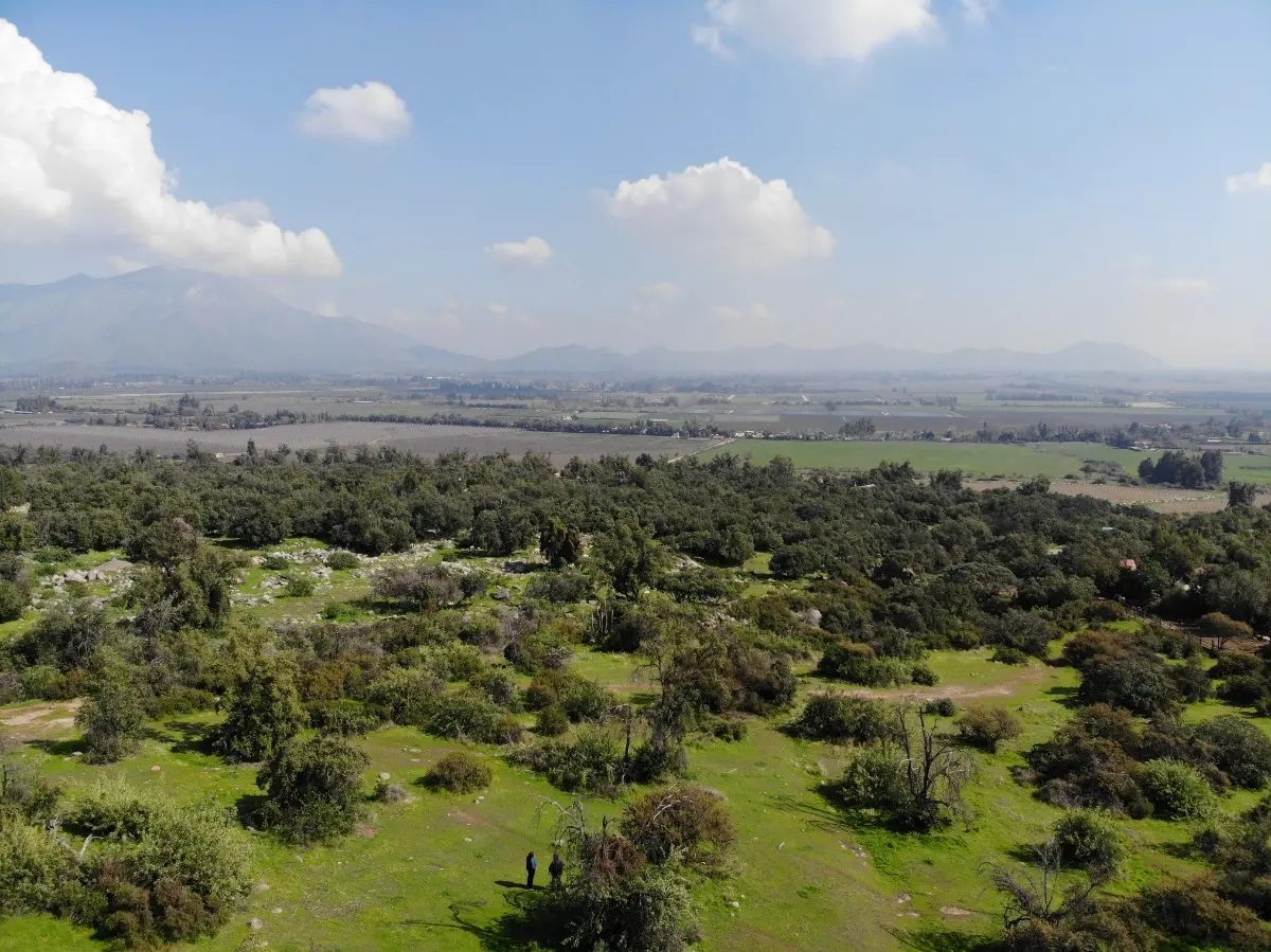 Parcela en venta en Pirque — foto 1