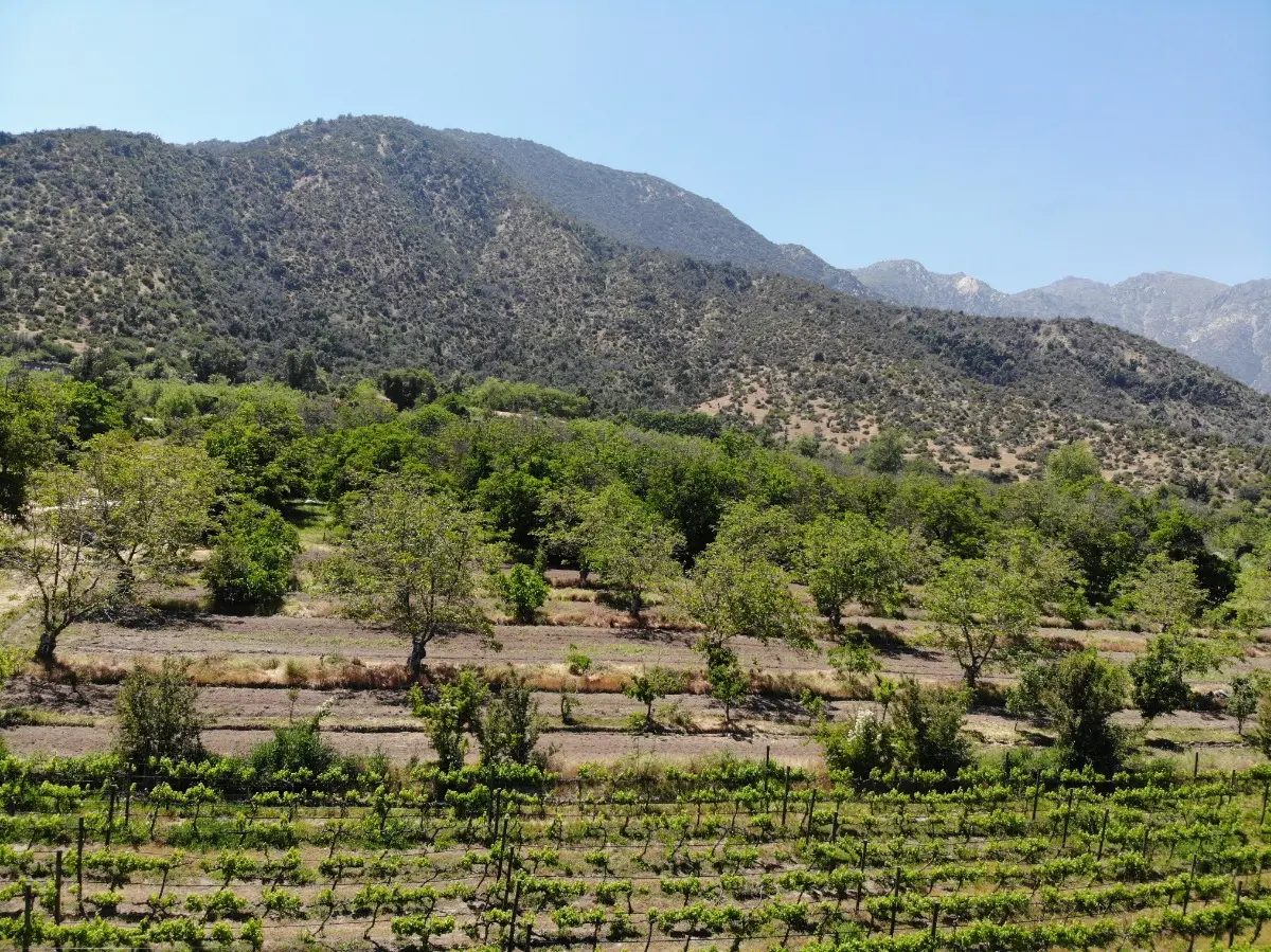 Parcela en venta en Pirque — foto 1