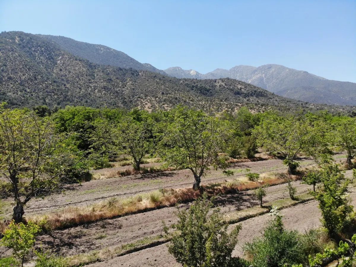 Parcela en venta en Pirque — foto 2