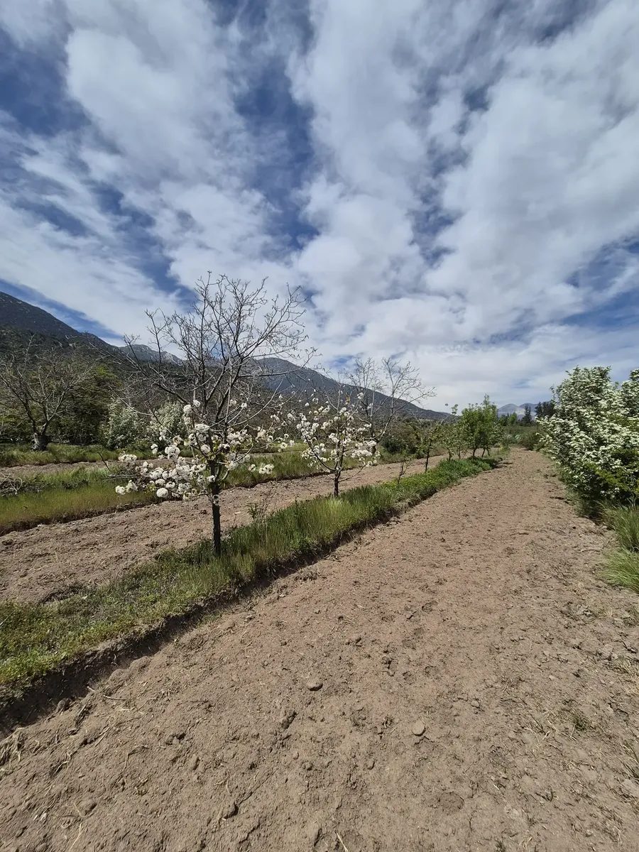 Parcela en venta en Pirque — foto 6