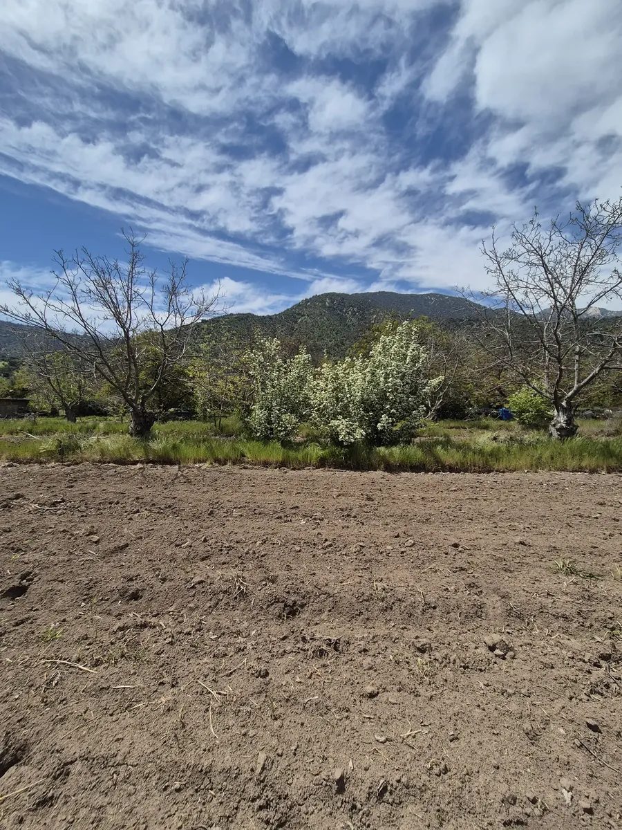 Parcela en venta en Pirque — foto 8