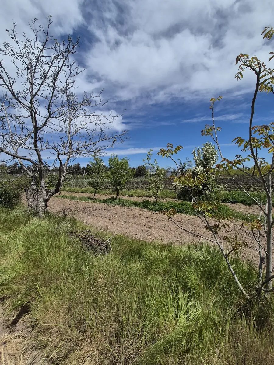 Parcela en venta en Pirque — foto 10