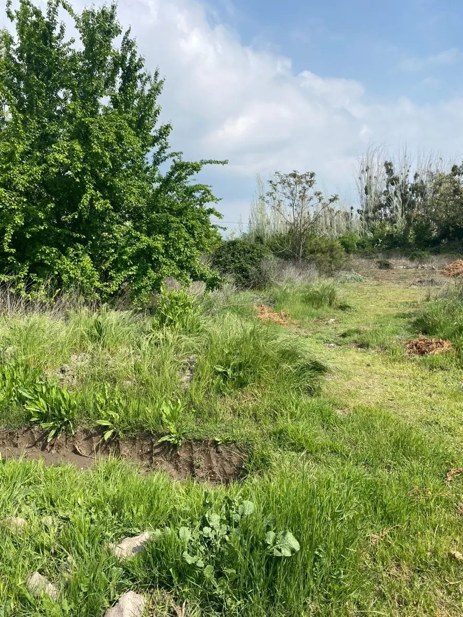 Parcela en venta en Pirque — foto 1