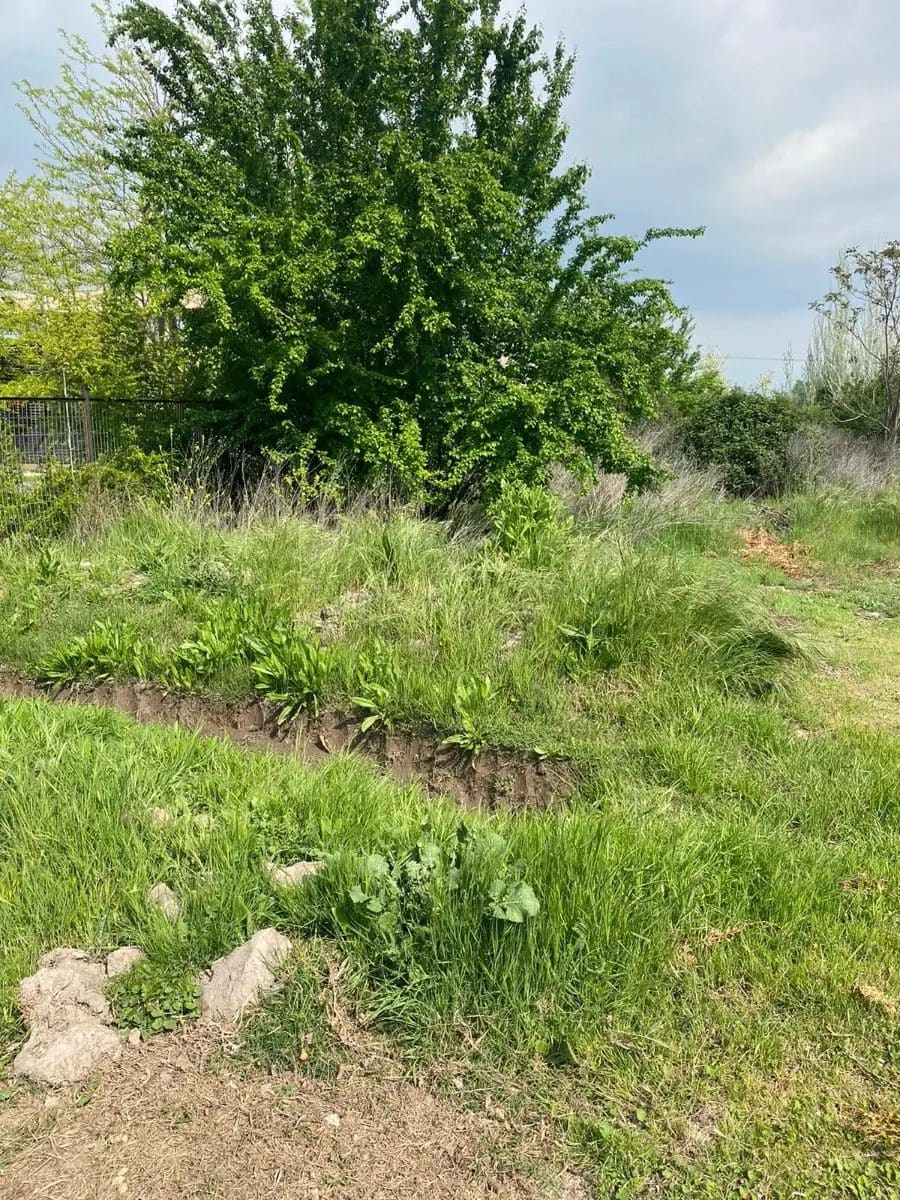 Parcela en venta en Pirque — foto 3