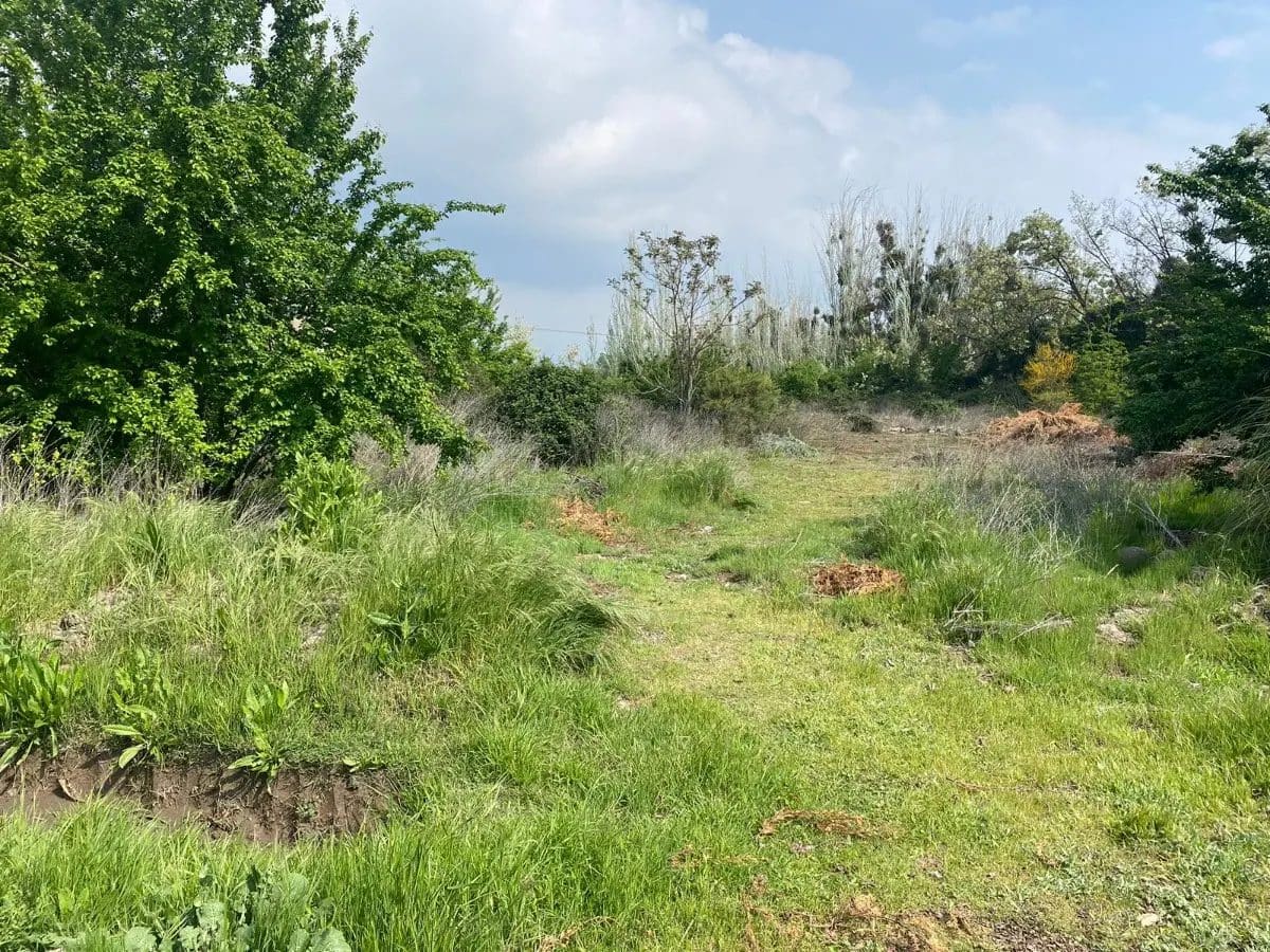 Parcela en venta en Pirque — foto 4