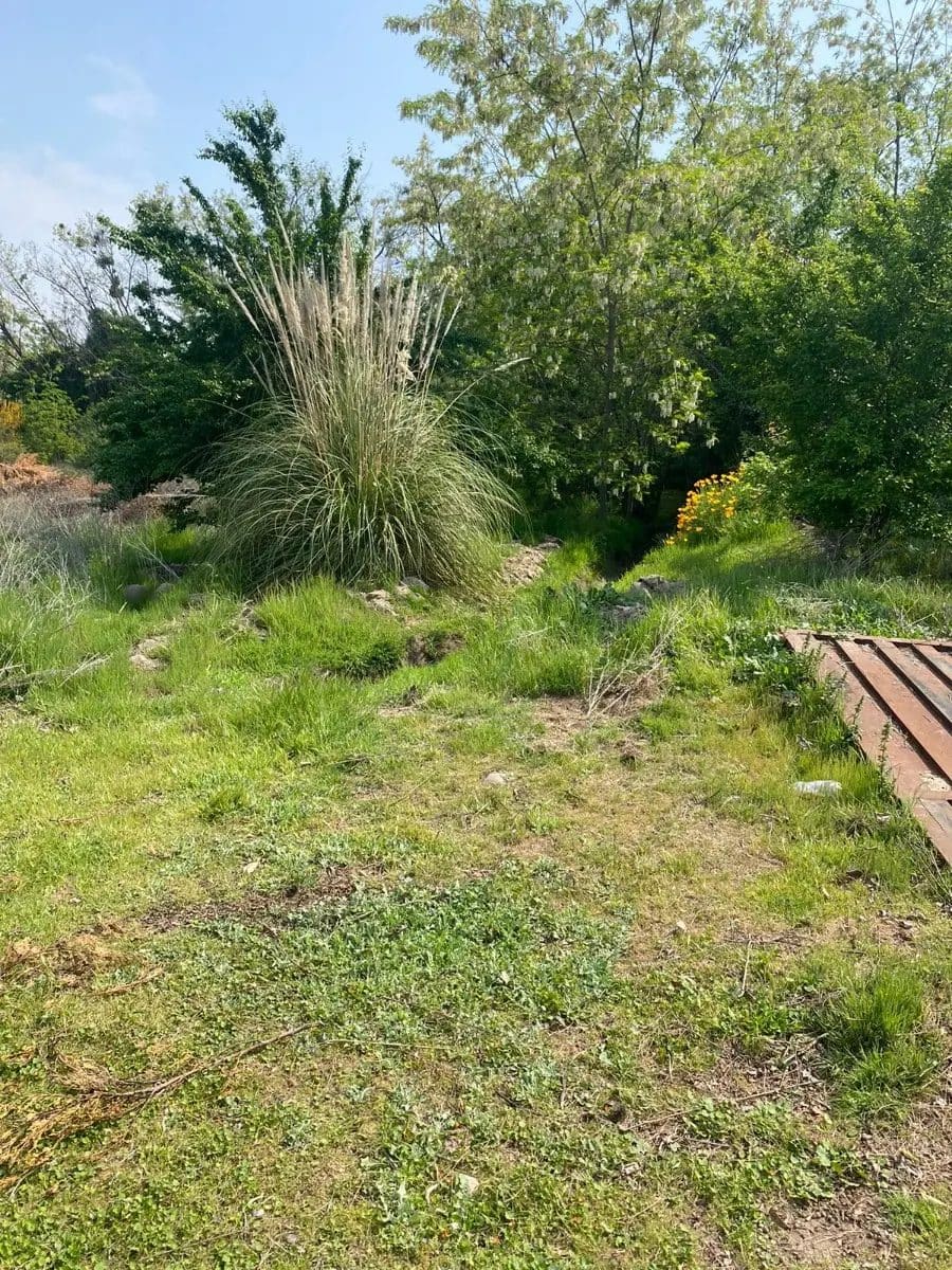 Parcela en venta en Pirque — foto 6