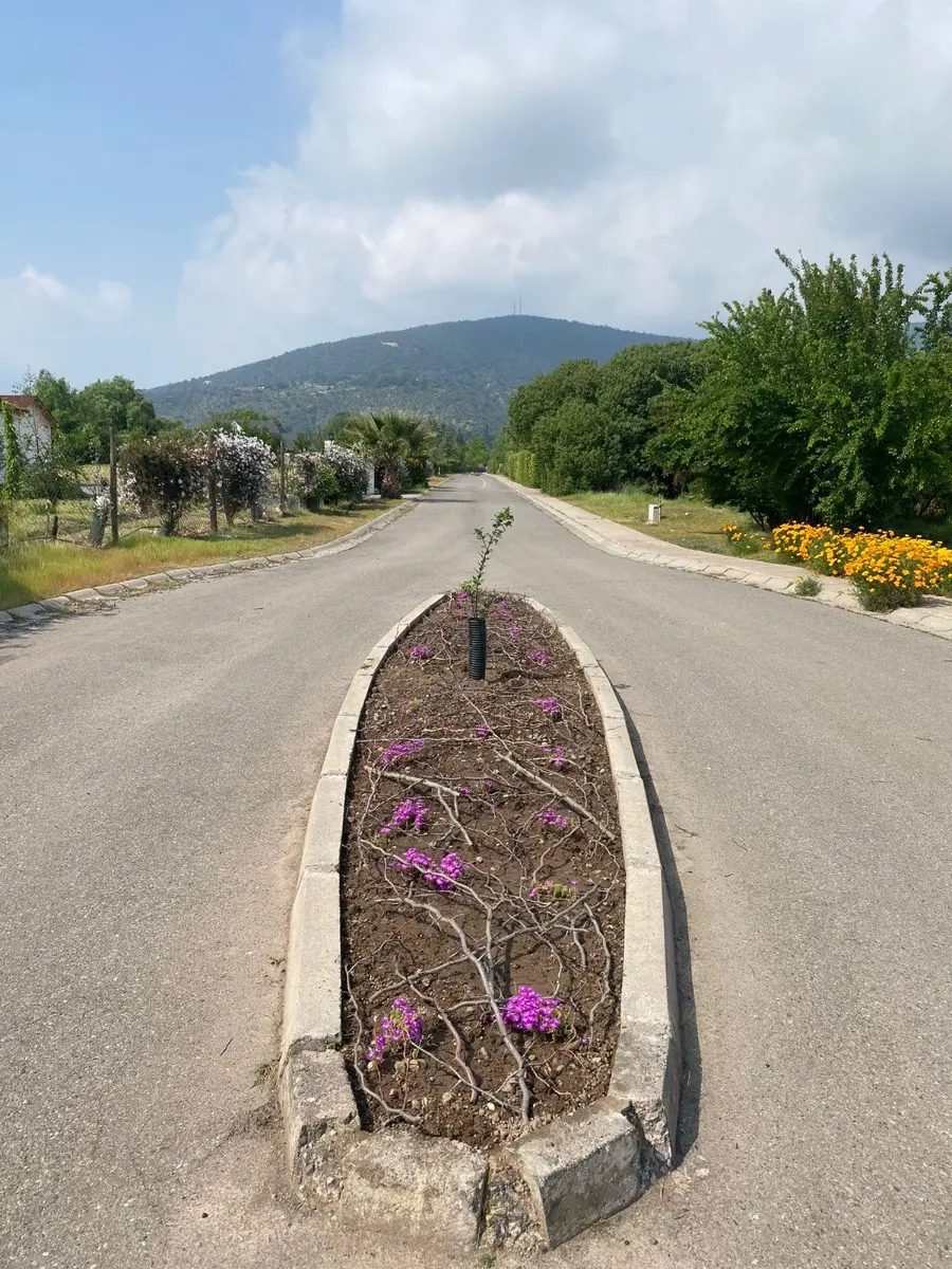 Parcela en venta en Pirque — foto 7