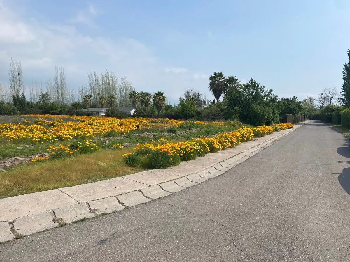 Parcela en venta en Pirque — foto 8