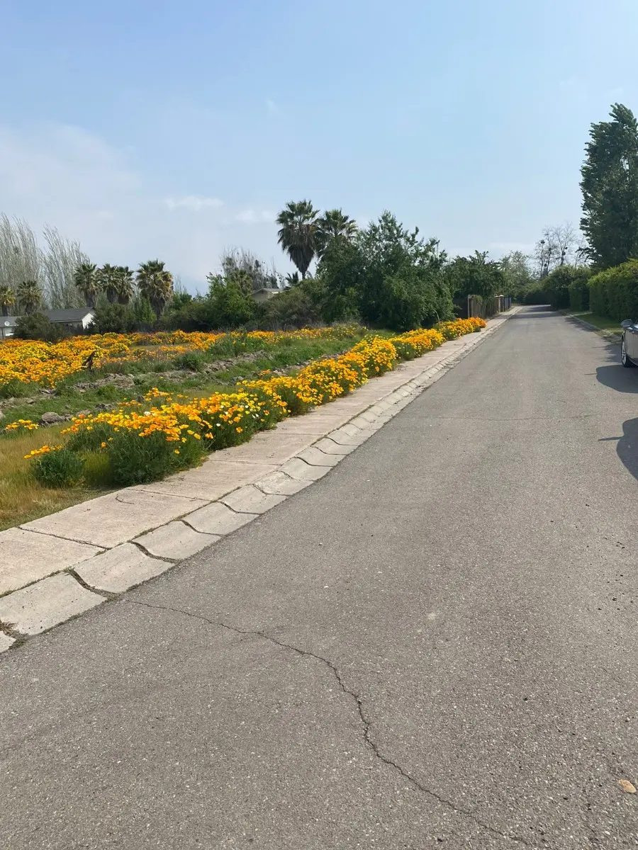 Parcela en venta en Pirque — foto 9