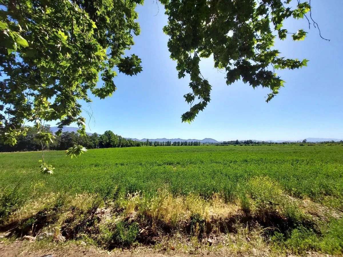 Parcela en venta en Pirque — foto 1
