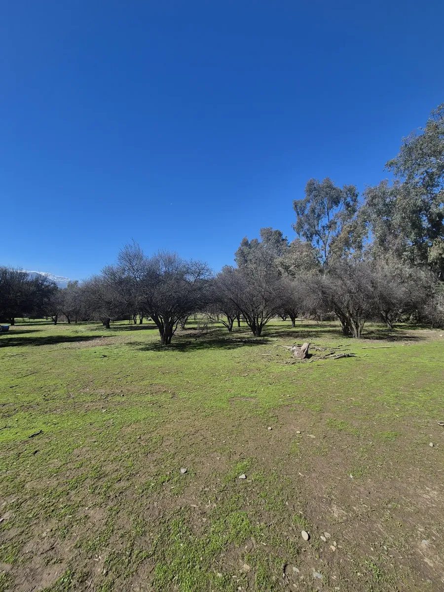 Parcela en venta en Pirque — foto 3