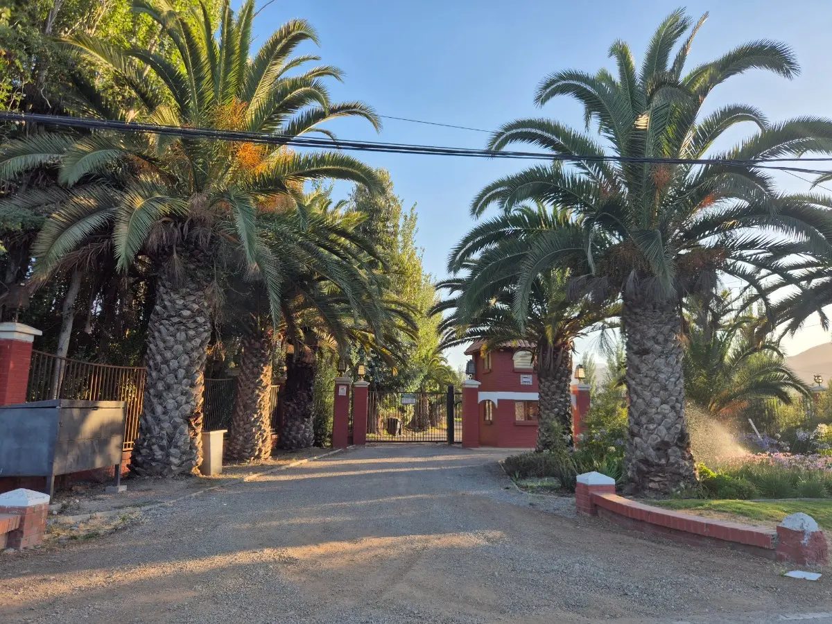 Parcela en venta en Isla de Maipo — foto 2
