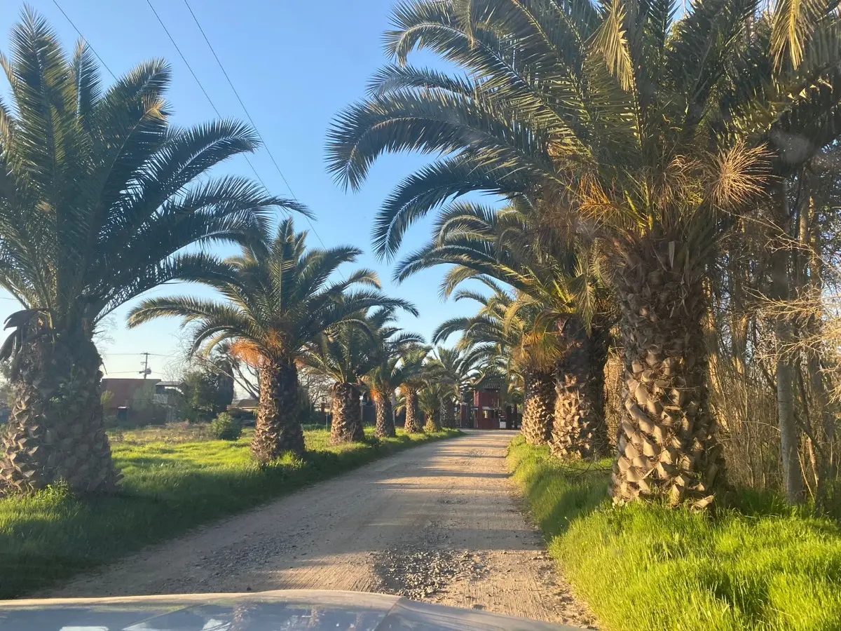 Parcela en venta en Isla de Maipo — foto 3