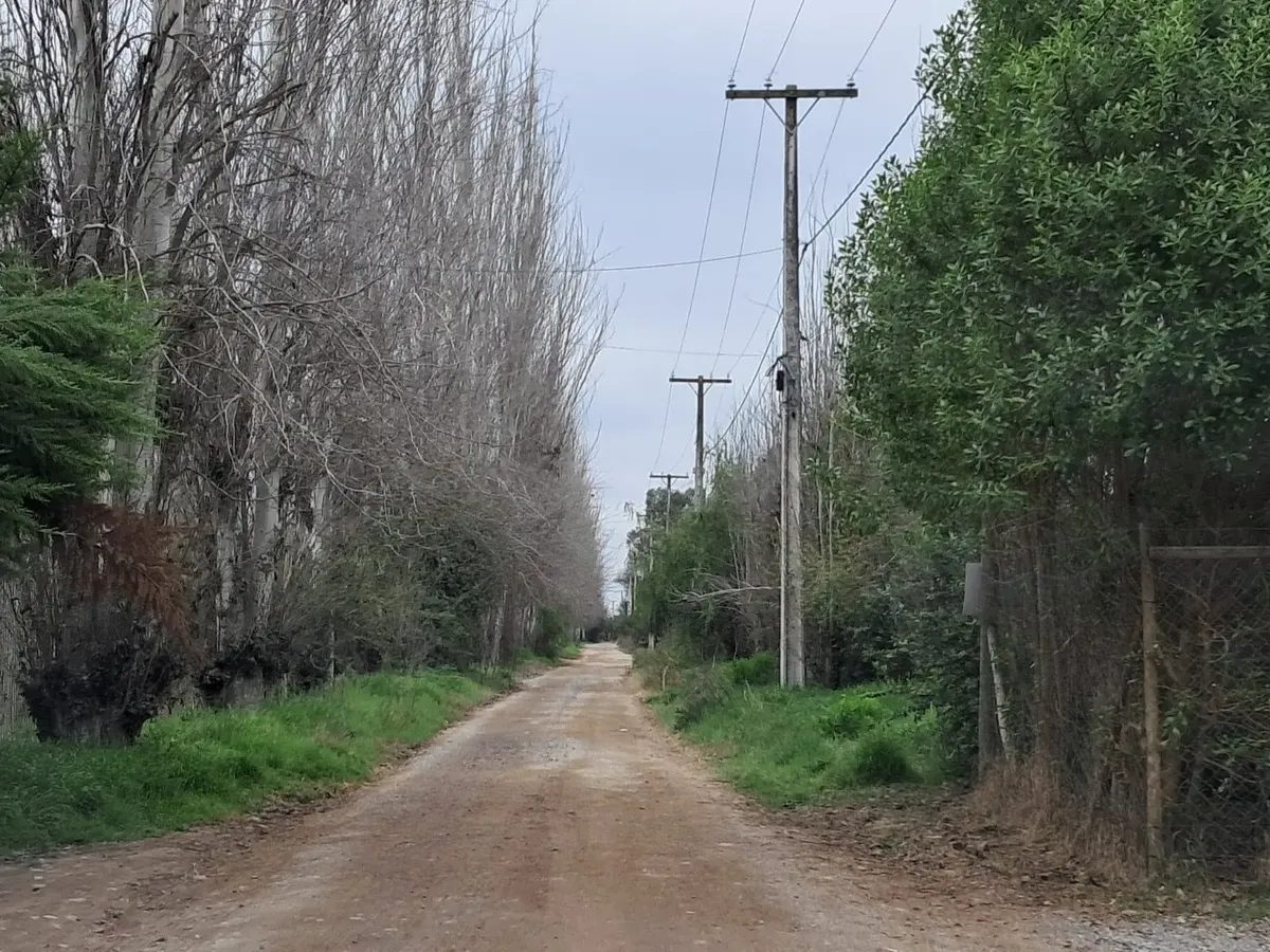 Parcela en venta en Isla de Maipo — foto 5