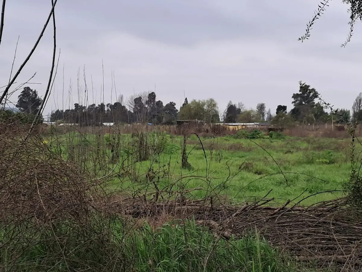 Parcela en venta en Isla de Maipo — foto 6