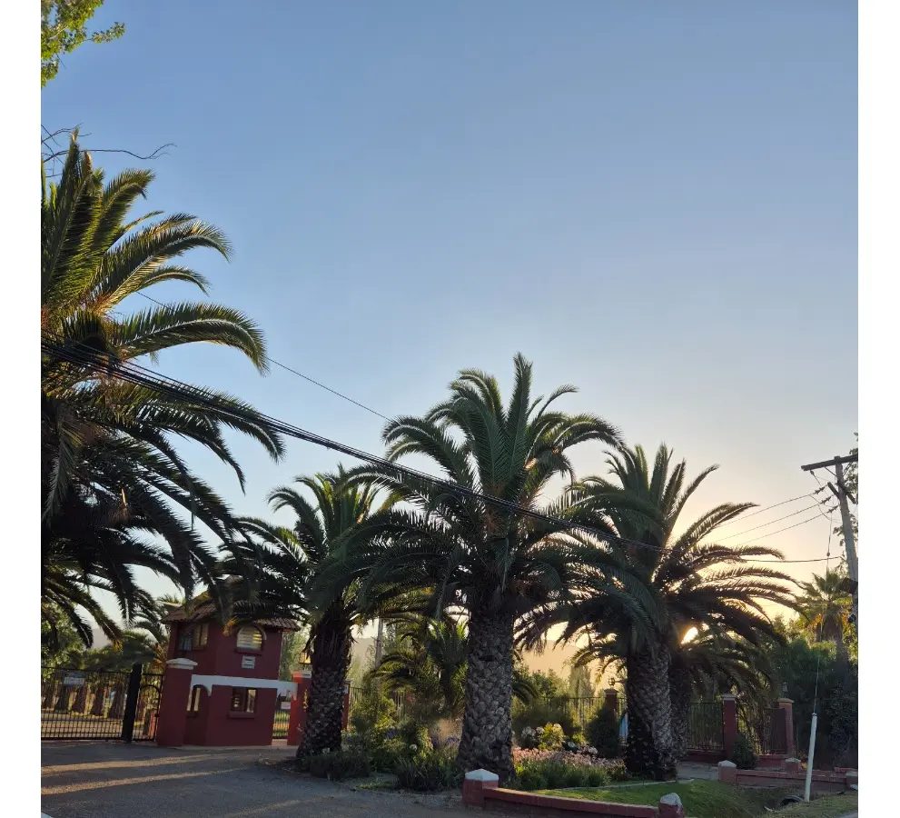 Parcela en venta en Isla de Maipo — foto 7