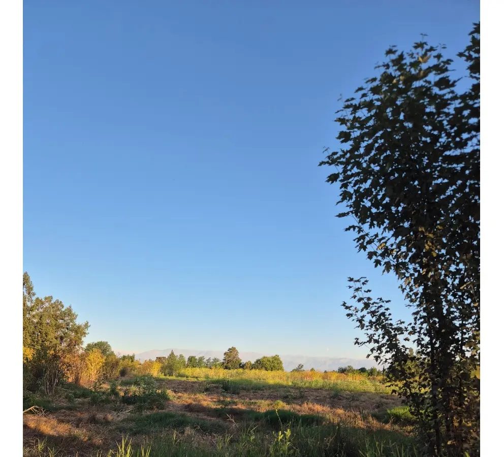 Parcela en venta en Isla de Maipo — foto 9