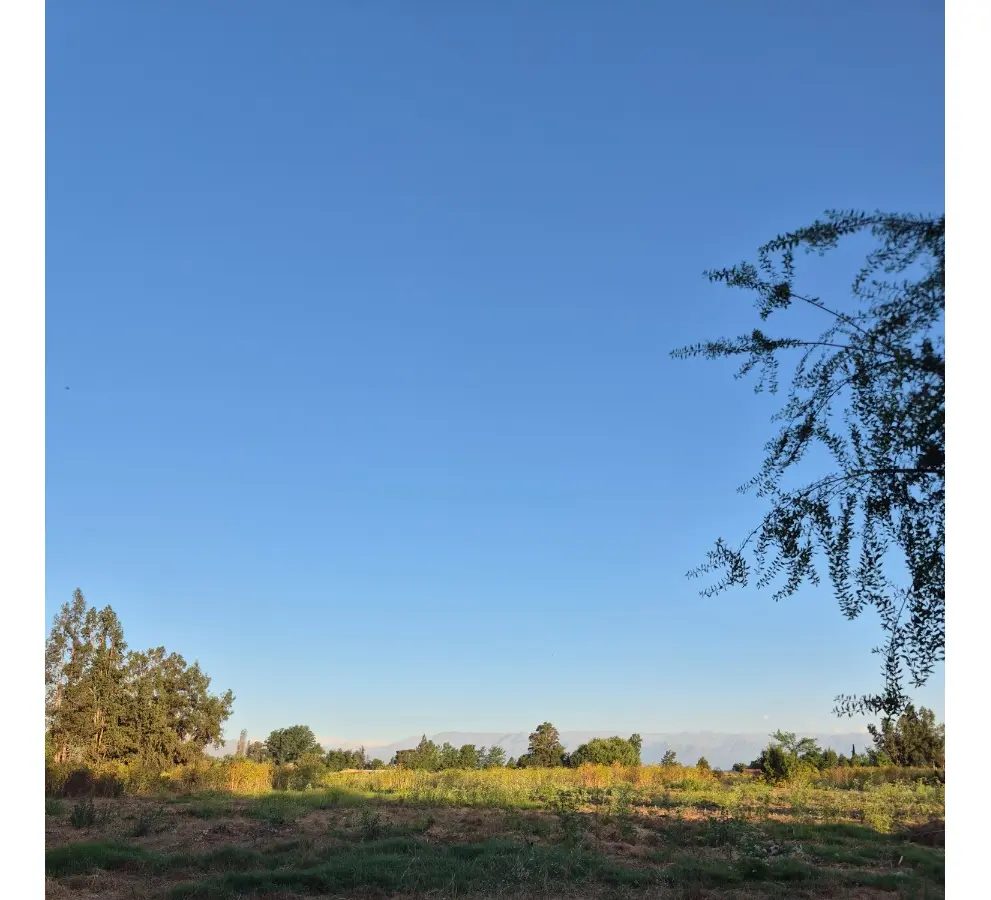 Parcela en venta en Isla de Maipo — foto 10
