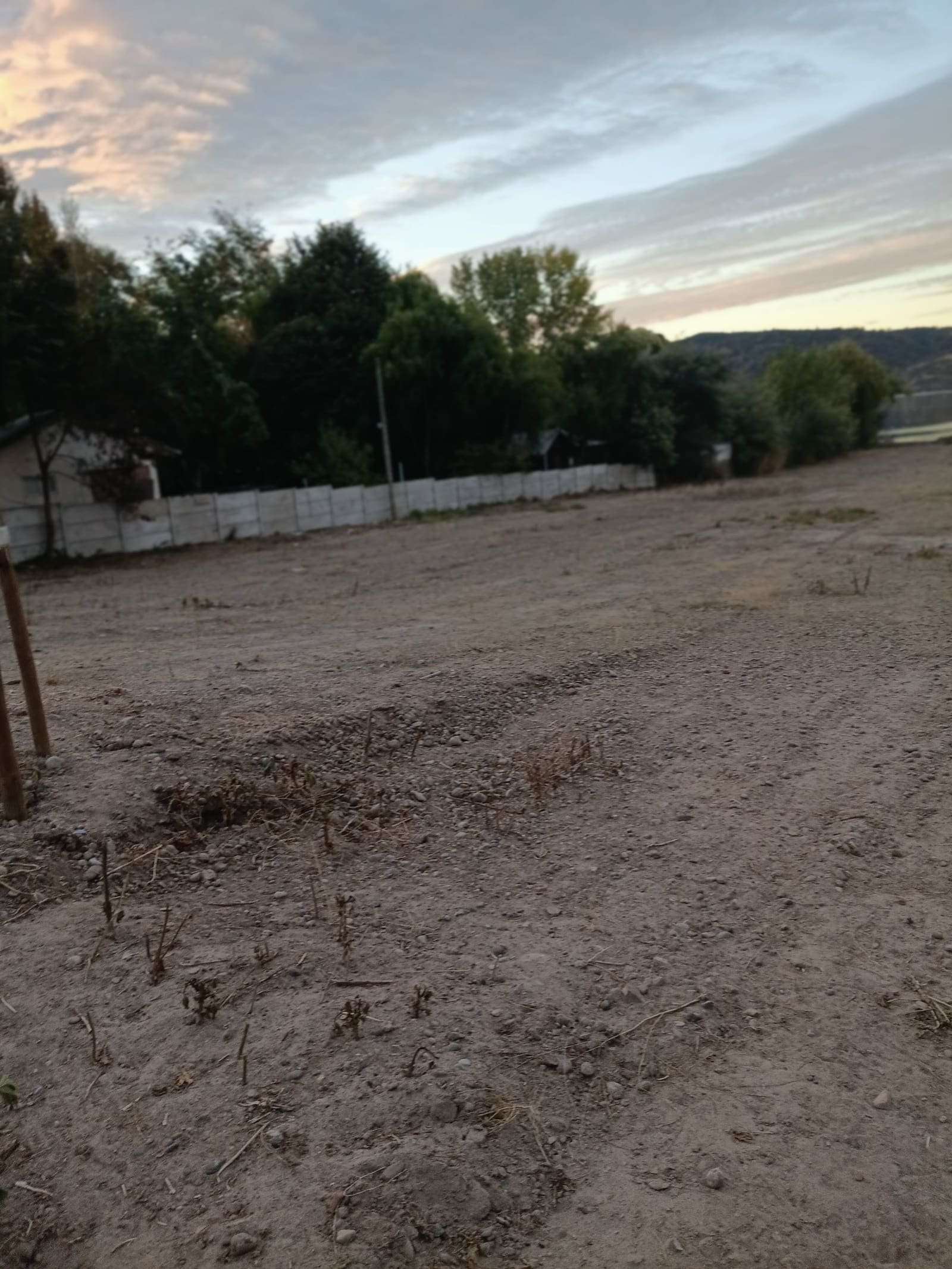 Terreno en venta en Las Cabras — foto 4