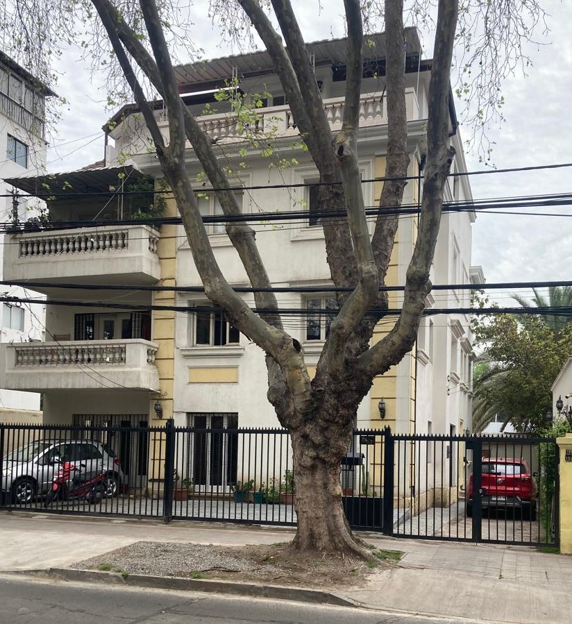 Casa en venta en Providencia — foto 2