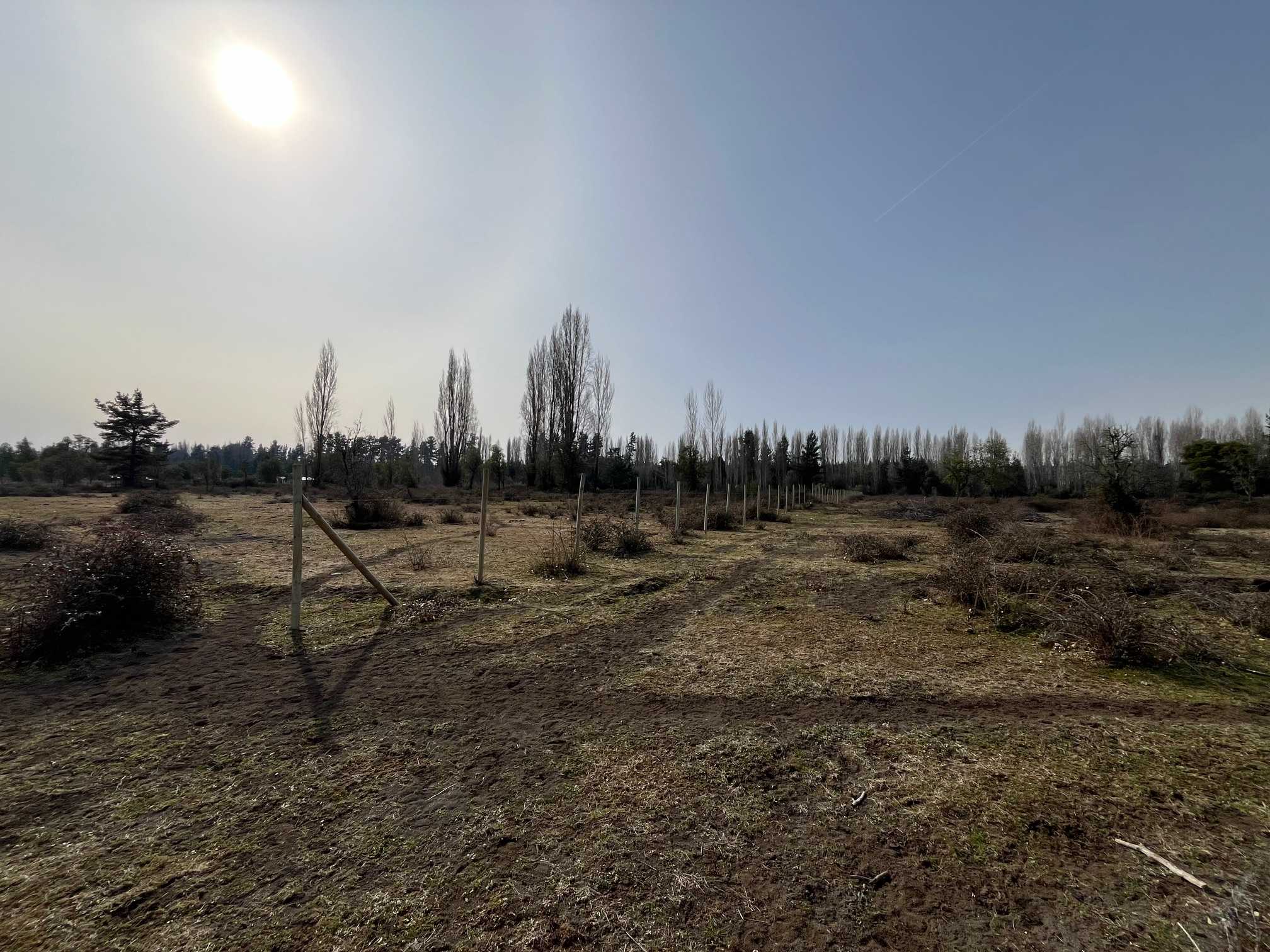Parcela en venta en Cabrero — foto 4