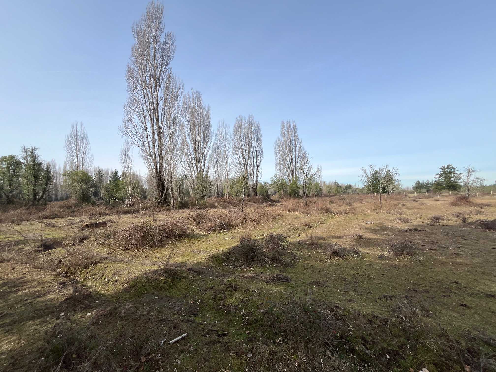 Parcela en venta en Cabrero — foto 6