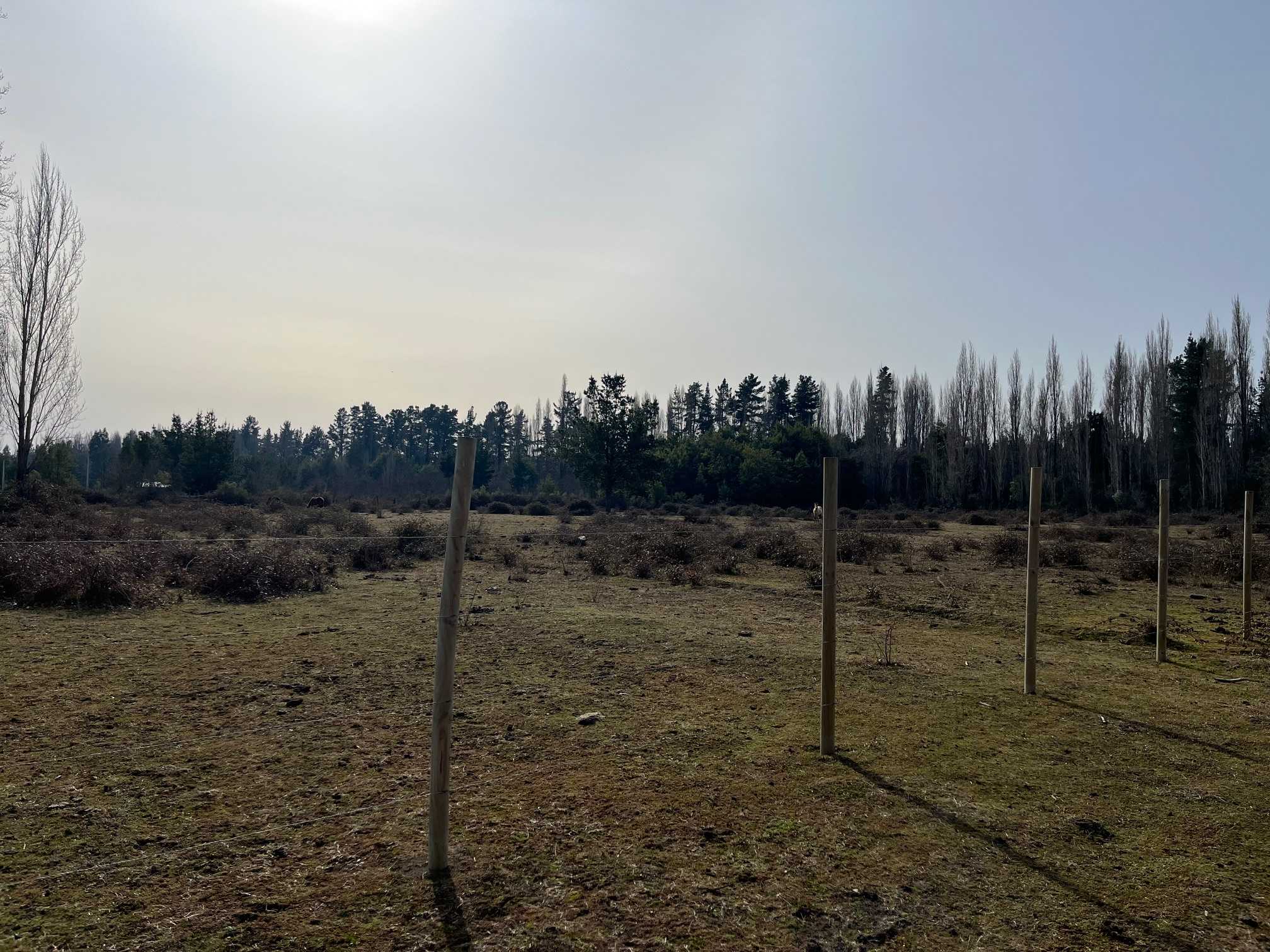 Parcela en venta en Cabrero — foto 7