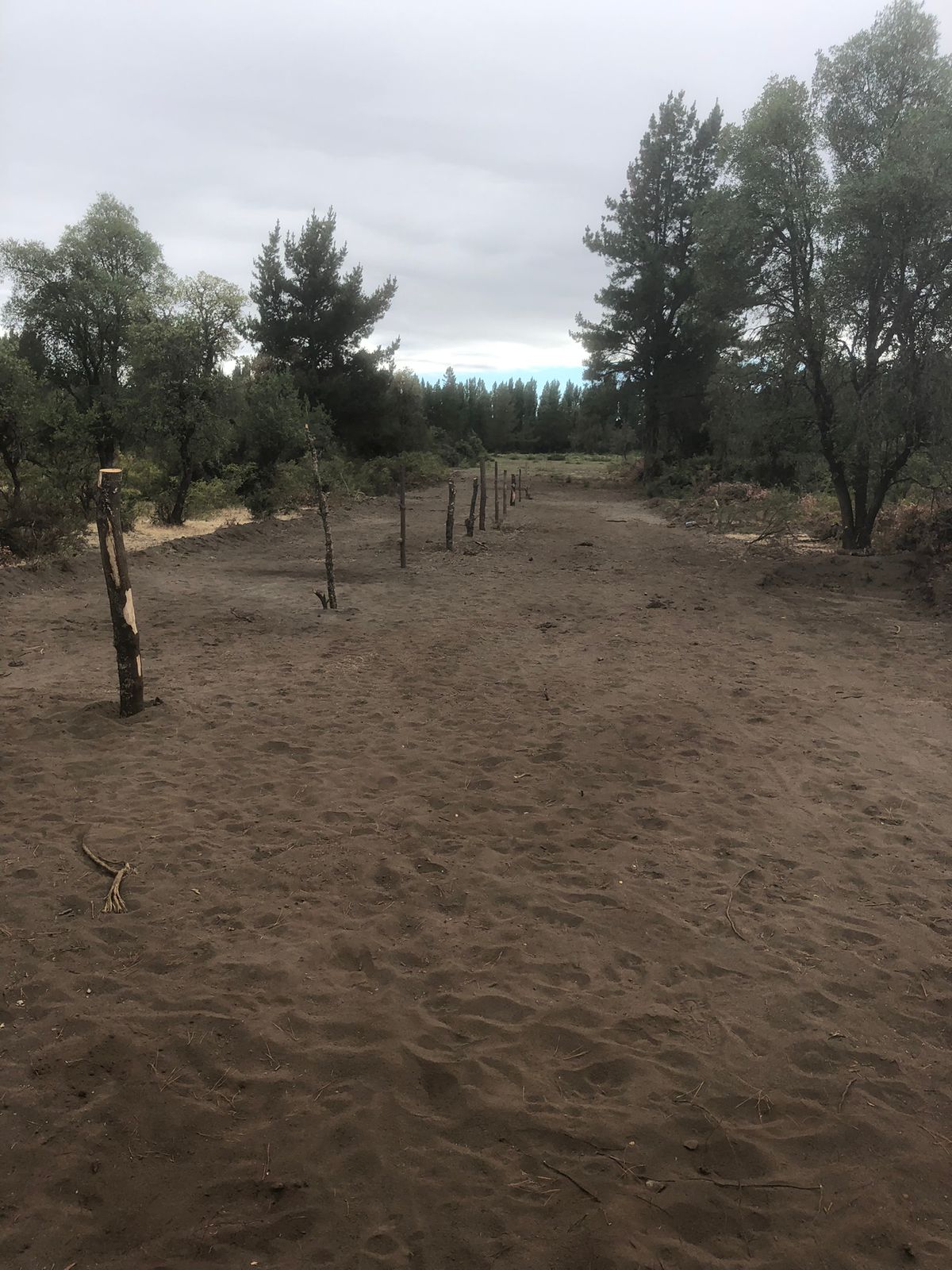 Parcela en venta en Cabrero — foto 9