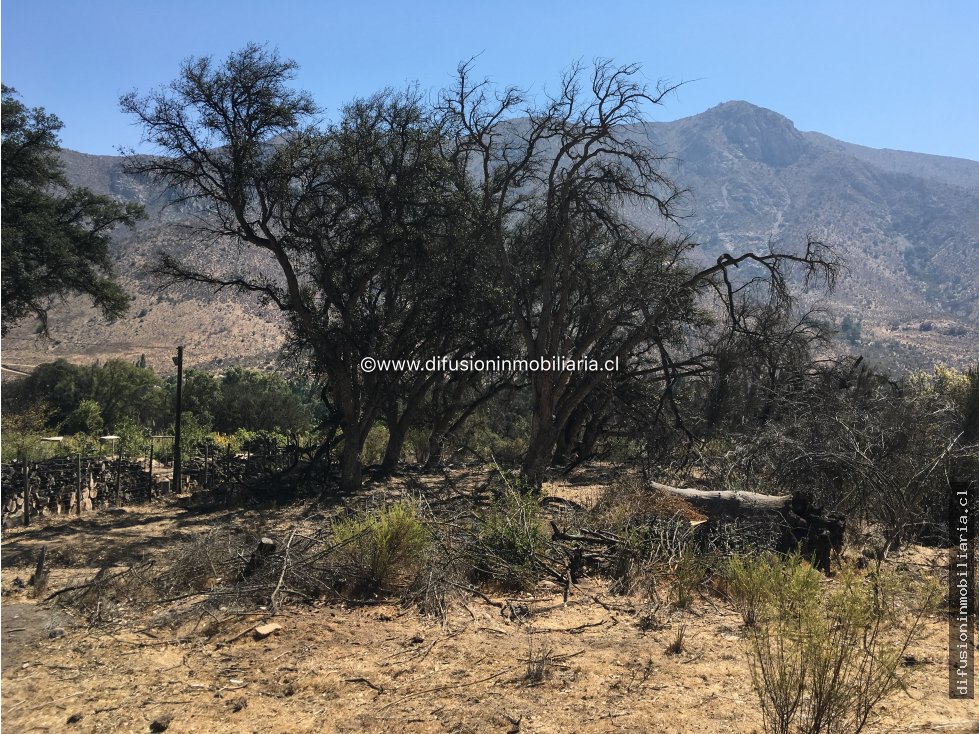 Terreno en venta en Illapel — foto 2