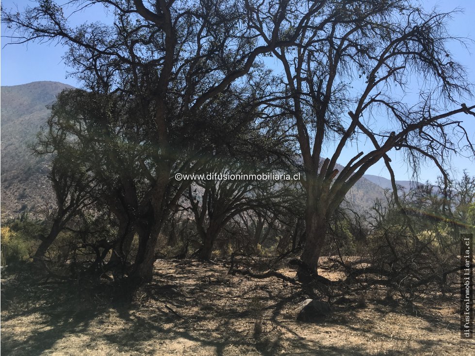 Terreno en venta en Illapel — foto 8