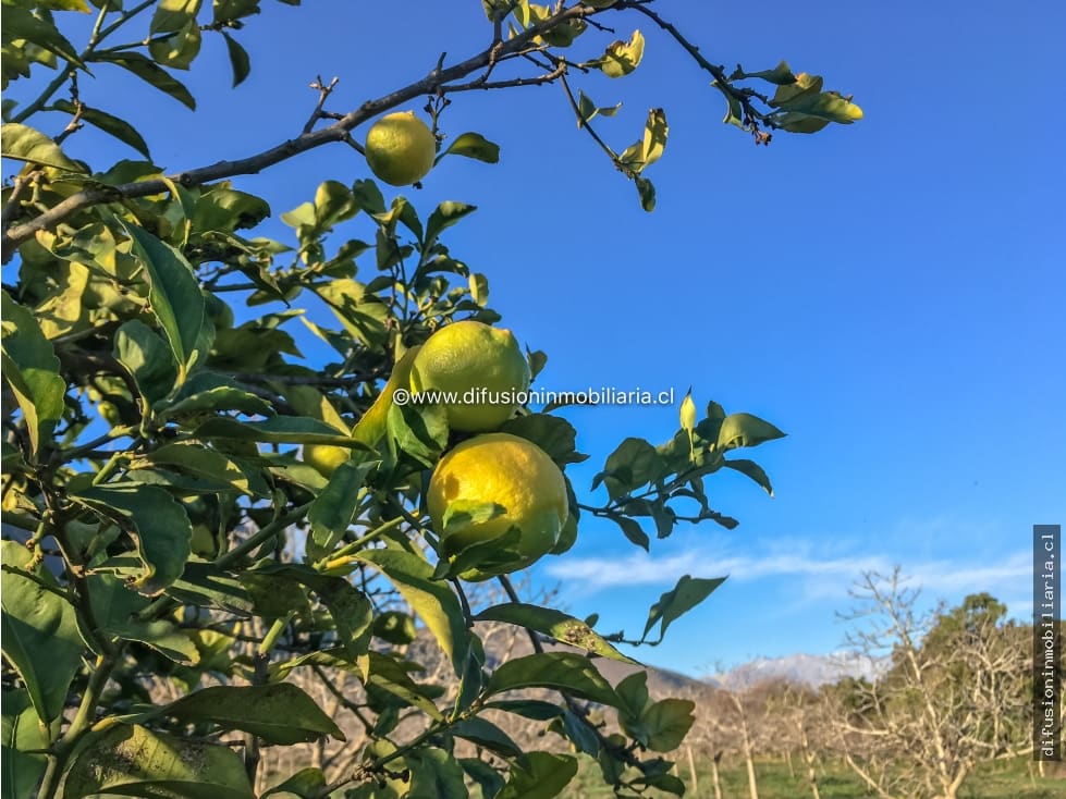 Terreno en venta en Illapel — foto 5