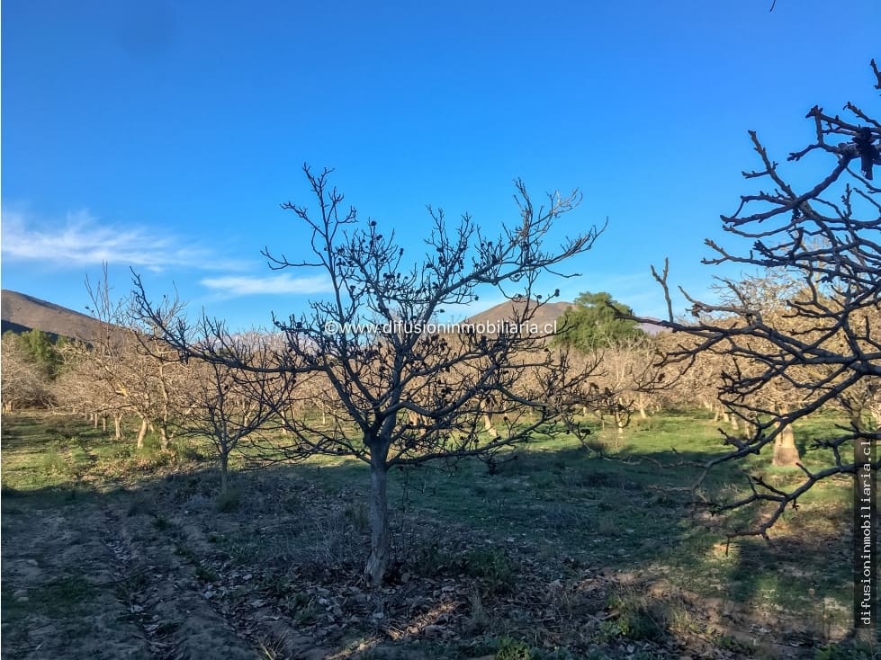 Terreno en venta en Illapel — foto 8