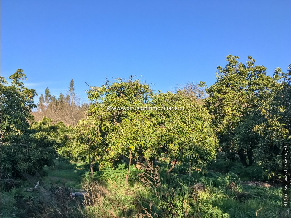 Terreno en venta en Illapel — foto 10