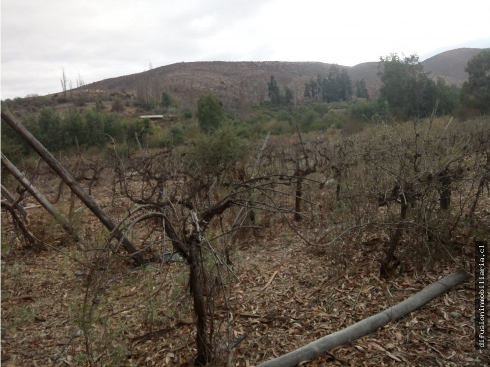 Terreno en venta en Illapel — foto 2