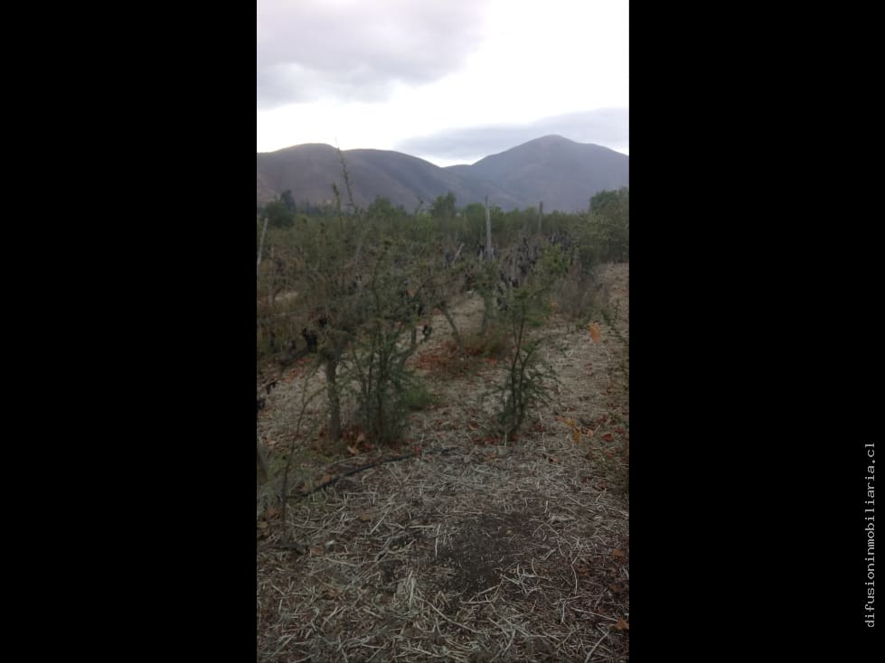 Terreno en venta en Illapel — foto 4