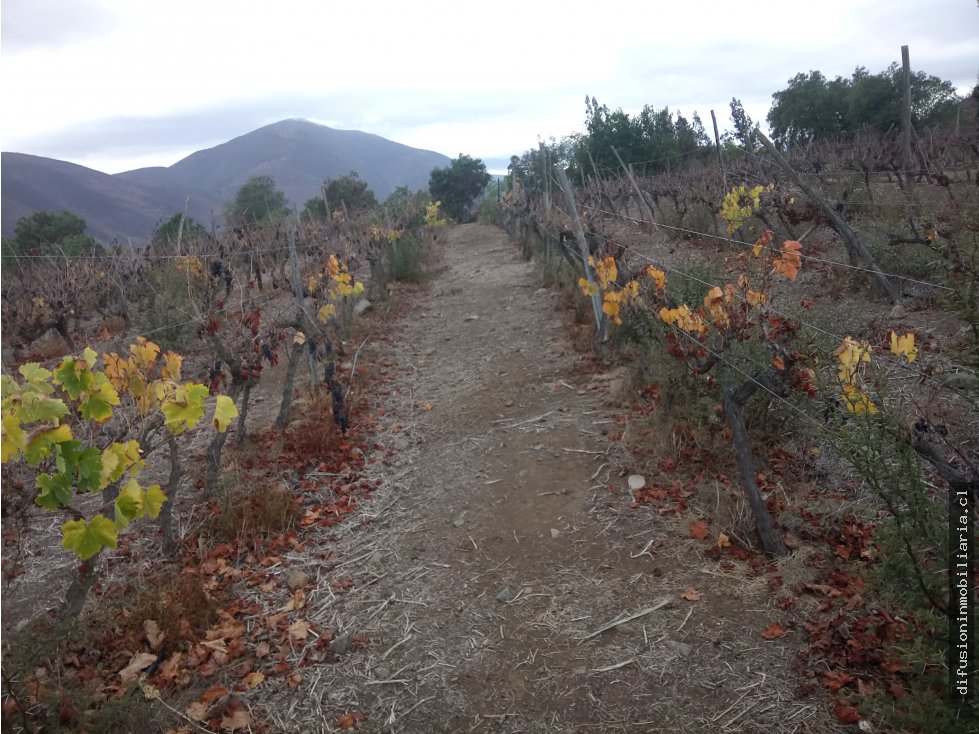 Terreno en venta en Illapel — foto 7