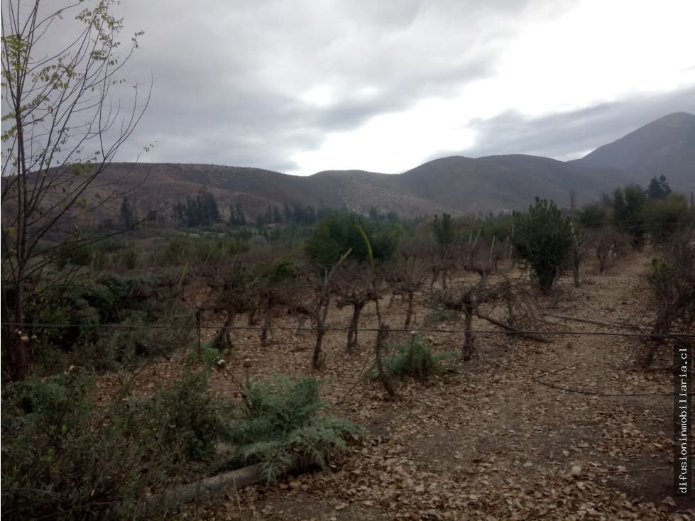 Terreno en venta en Illapel — foto 9