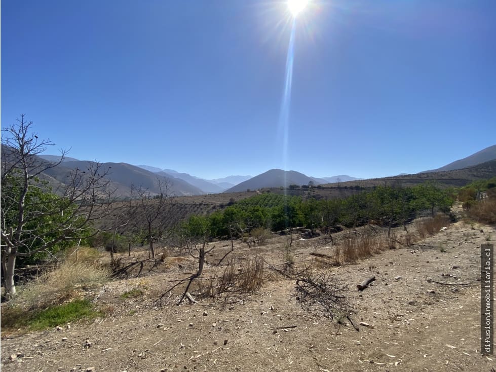 Parcela en venta en Illapel — foto 8