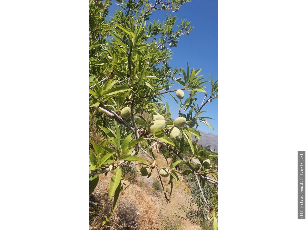 Terreno en venta en Salamanca — foto 5