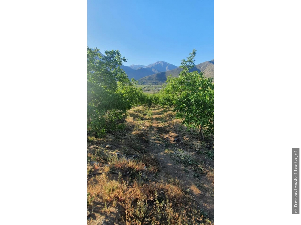 Terreno en venta en Salamanca — foto 7