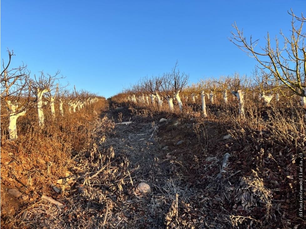 Terreno en venta en Illapel — foto 4