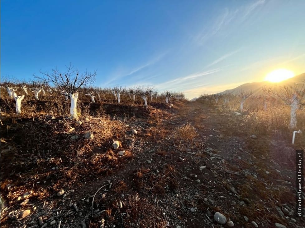 Terreno en venta en Illapel — foto 6