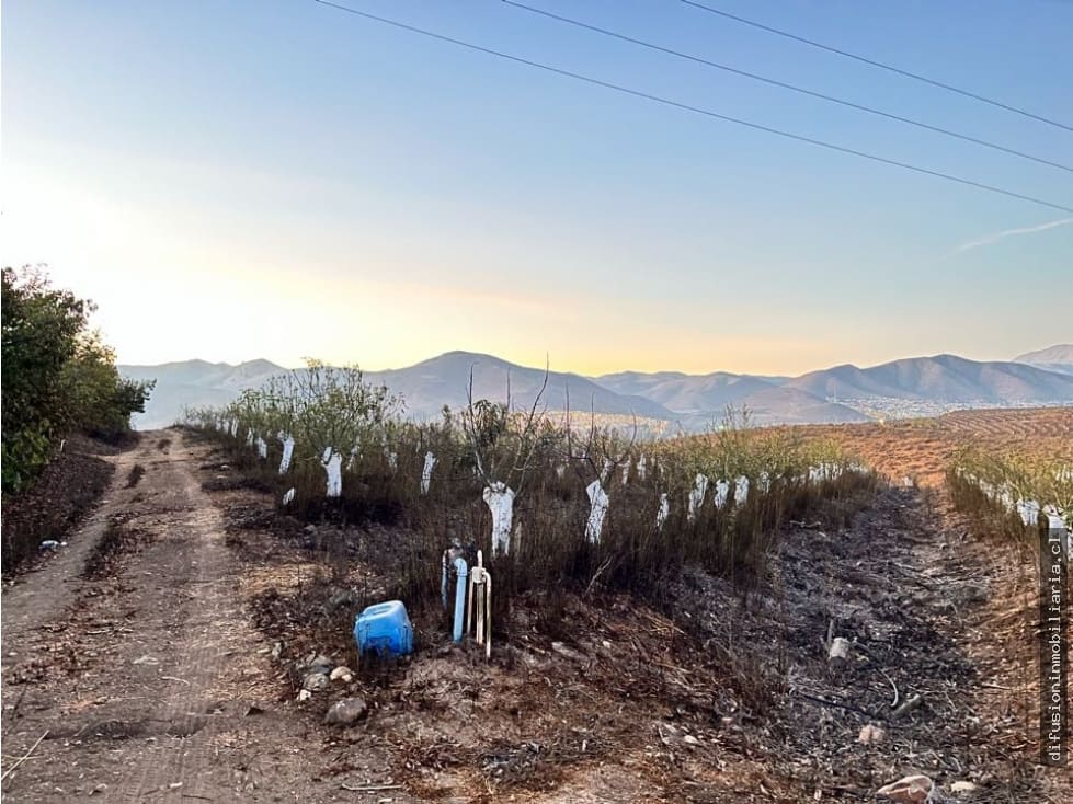 Terreno en venta en Illapel — foto 10